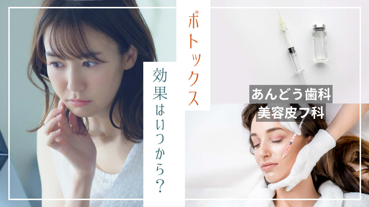ダウンロード